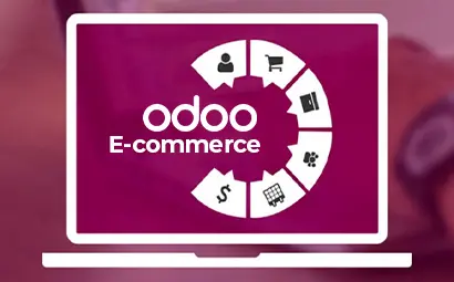 How ERP Consulting Group Built a Feature-Rich E-Commerce Website for an Eco-Conscious Wellness Brand